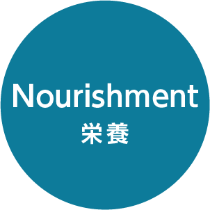 Nourishment 栄養