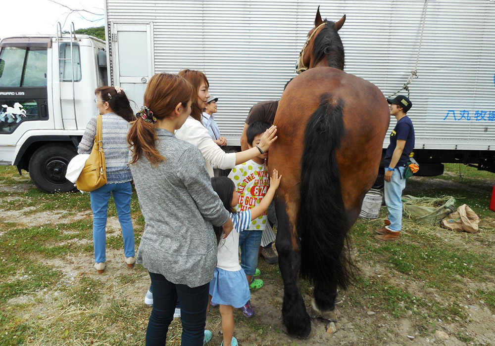 馬の周りには自然と人が集まり、交流が生まれる