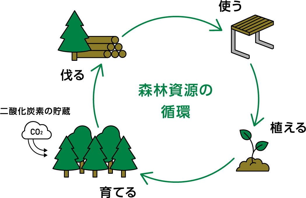 森林資源の循環が多くの二酸化炭素を貯蔵